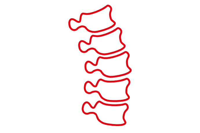 Wirbelsäule Osteopathie